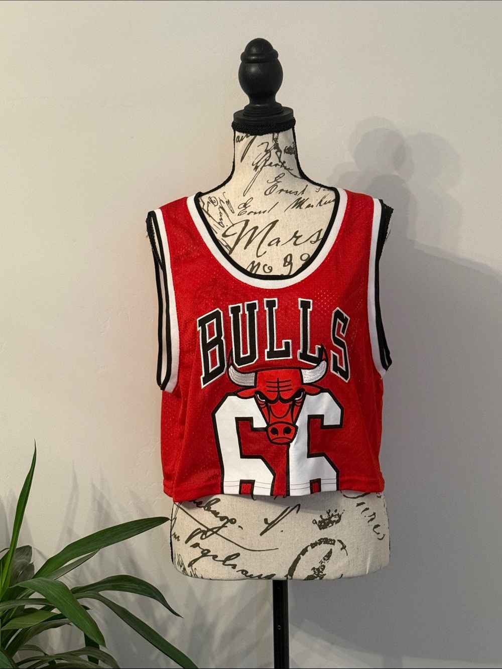 NBA Red Chicago Bulls Cropped Jersey Tank